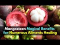 Mangosteen Magical Benefits for Numerous Ailments Healing