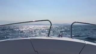 Sortie Thon Et Listao Pays Basque