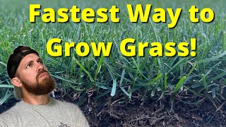 Pre Germinate Grass Seed |Plus Leveling & Seeding Lawn pt. 2|