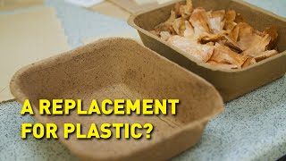 Waste into Resource: Onion Skin Paper and Packaging