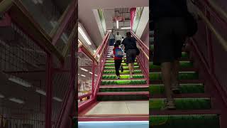 Pretty green tea stairs in a Manhattan asian supermarket 👍👍