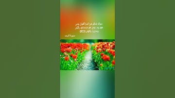 ٱللَّهُ يَعۡلَمُ مَا تَحۡمِلُ كُلُّ أُنثَىٰ وَمَا تَغِيضُ (8)سورة الرعد للقارىء الشيخ ماهر المعيقلي