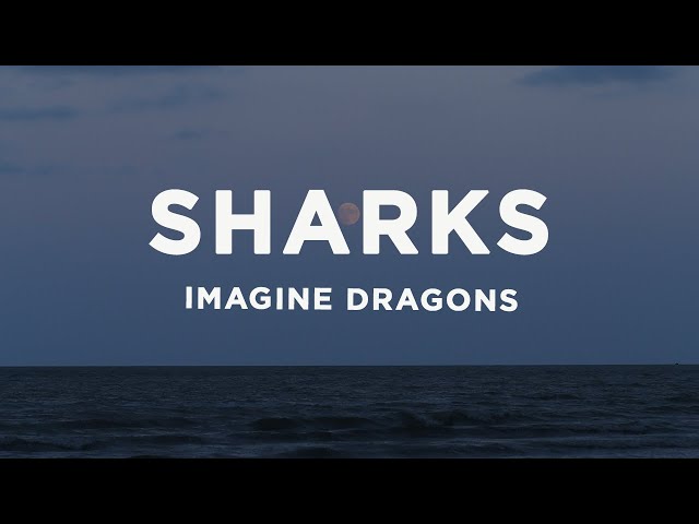 Imagine Dragons - Sharks (Lyrics) class=