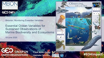 Essential Ocean Variables for Sustained Observations of Marine Biodiversity and Ecosystems