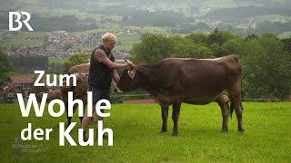 Anbindehaltung von Kühen vor dem Aus? | Schwaben & Altbayern | Artgerechte Tierhaltung | BR