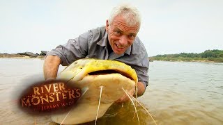 Mammoth Red Tail Catfish | Catfish | River Monsters