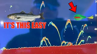 HOW TO TROLL STRIPED BASS FOR DUMMIES