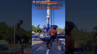 🌳➡️🏗️ Check out how we elevate tree removal to new heights with our crane-assisted technique!