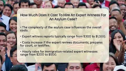 How Much Does It Cost To Hire An Expert Witness For An Asylum Case?