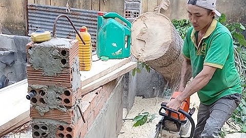 thạch lộc ninh xẻ cây gỗ sao bằng máy cưa stihl ms 066. liên hệ 0911003106🌲.0397336494