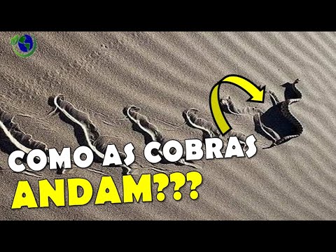 VOCÊ SABE COMO