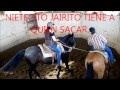 JOSE JIMENEZ CHARRO VENADITA 7