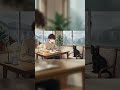 afternoon focus lofi 🌿 #Shorts