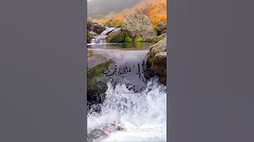 { قَالُواْ يَٰٓأَبَانَآ إِنَّا ذَهَبۡنَا نَسۡتَبِقُ }#سورة_يوسف | القارئ محمد أنس حلواني