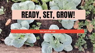 READ, SET, GROW! START YOUR OWN ORGANIC GARDEN TODAY.