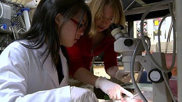 LLUSM Basic Science Program