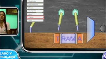 Encapsulamiento de Datos