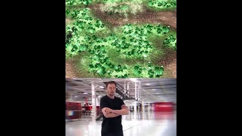 This is Nod Militant.