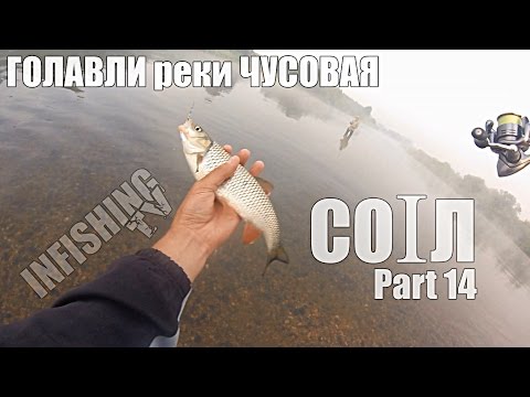 Голавли реки Чусовая. Часть 1. Видео