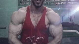 Big muscles mohamed ikli workout atack back and triceps