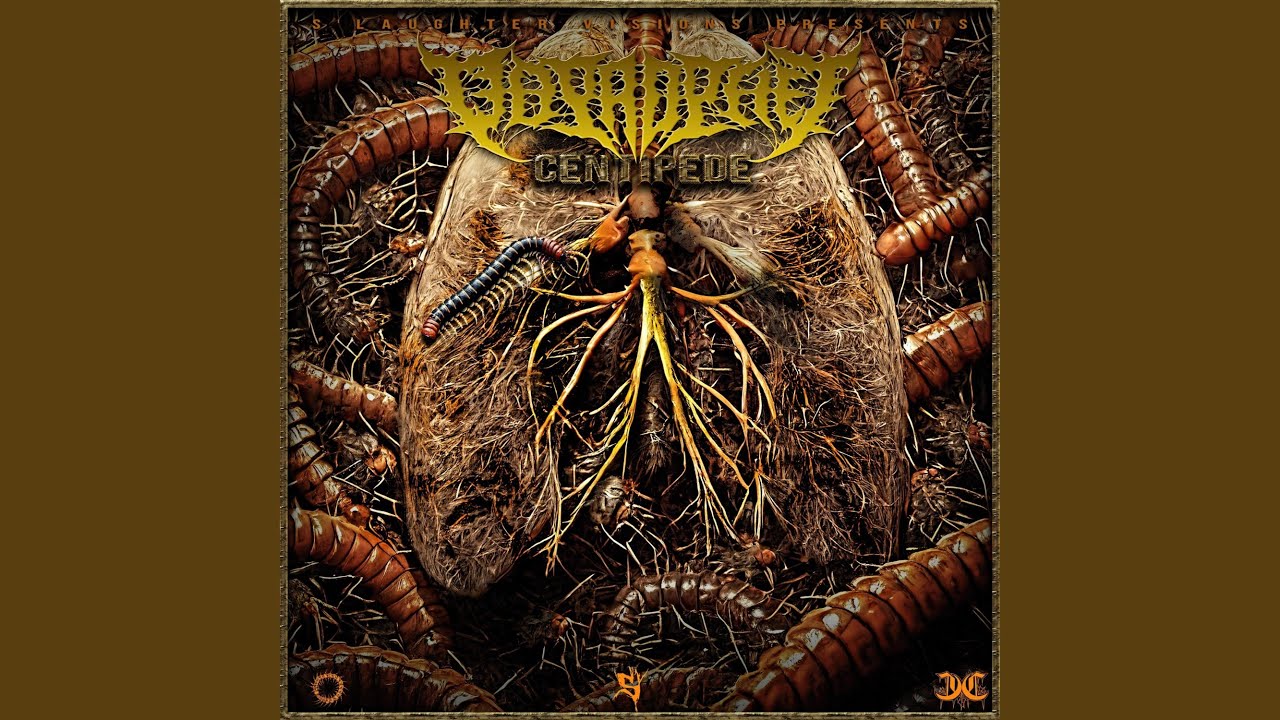 Tarantula adlı videoyu YouTube'da izle Tarantula adlı videoyu YouTube'da izle