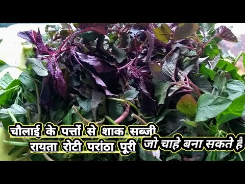 Benefits of Chawli Leaves, Amaranth Leaves