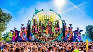 DJ Payback - Mysteryland