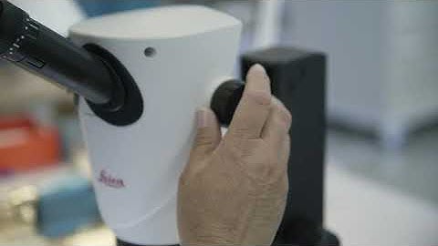 Video 2 Elos Andreas