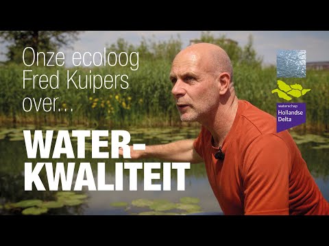 Video: Hoe Herken Je Water?