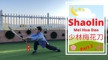 Shaolin Kung Fu Training Ep. 25 Shaolin Mei Hua Dao 少林梅花刀 - Part 2