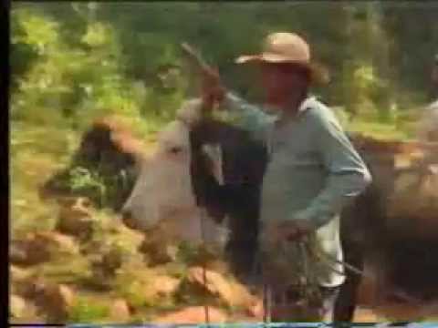 CAMEL TROPHY en Paraguay 1994 ( parte 1)