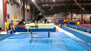 Pommel Horse level 9 Routine