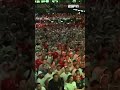 99 SECONDS OF UNHINGED BOX PARK MADNESS! 🏴󠁧󠁢󠁥󠁮󠁧󠁿