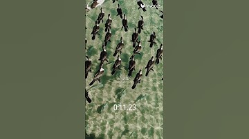 #سوره_يوسف #قران_كريم #قرآن #اجر_لي_ولك #اكسبلور #اجمل_حالات_واتس_اب #لايك