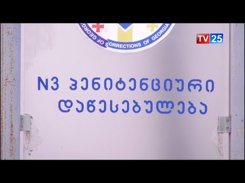 ცოტნე ანანიძე პატიმრების პრობლემებს გაეცნო