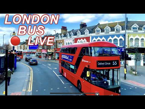 LONDON BUS RIDES 🚌 DIGEST 🔴 LIVE CHAT