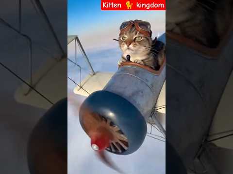 خد يمين  اعتني  اهميه  الظروف  المراه  