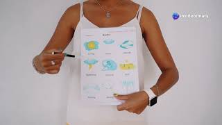 Data Analyst  Mastering Data Ordering and Mapping Organize, sort and conquer
