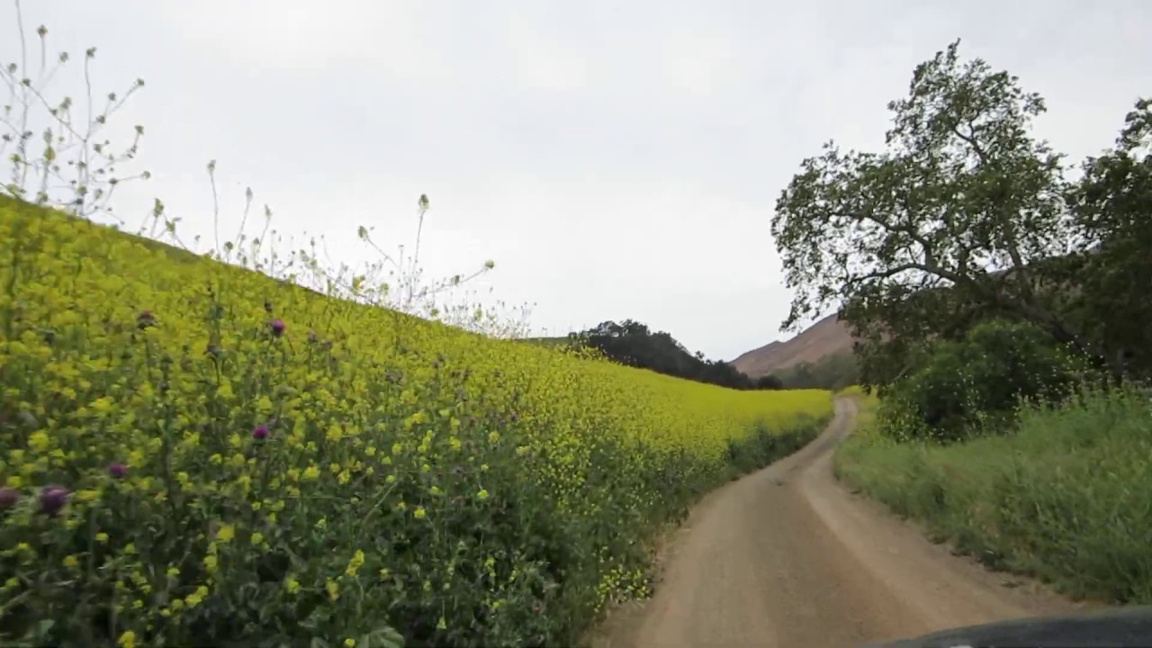 Mustard Road YouTube