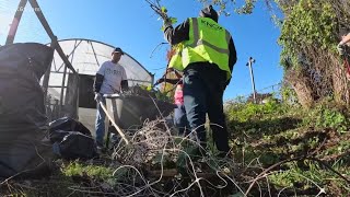 Love Hartford Week goes green citywide