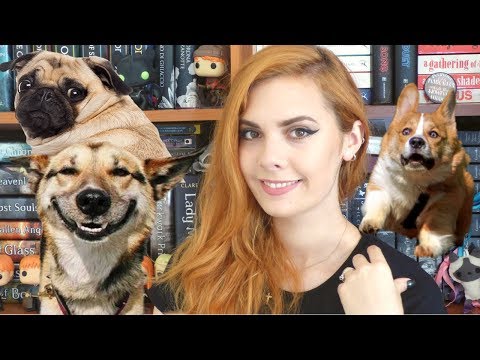 Video: 12 libri per gli amanti dei cani da leggere questa estate