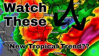 What Will Early June Bring?? Interesting Changes To Watch...