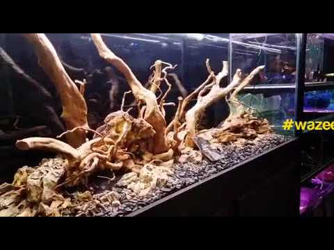 aquamacs setups aquamacs setups