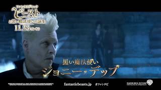 映画『ファンタスティック・ビーストと黒い魔法使いの誕生』最強の敵編6秒【HD】2018年11月23日（金・祝）公開