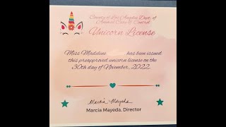 Southern California girl licensed to own unicorn — if she finds one