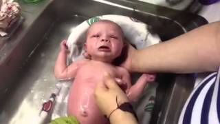 Avi's first bath