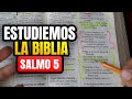 Cmo estudiar la biblia correctamente estudio bblico salmos 5