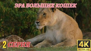 Мир Дикой Природы. Эра Диких Кошек. Документальный Фильм 4K. 2 серия из 3