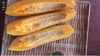 V55 Ăn đu đủ giúp đẹp da