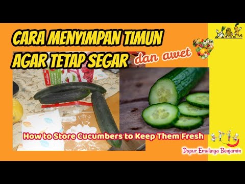 Video: Cara Menyimpan Timun Dengan Betul. Bahagian 2